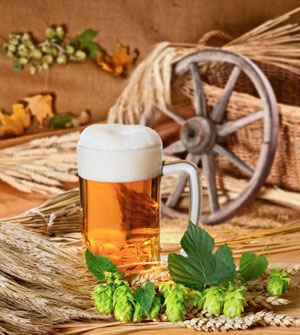 Birra artigianale, la storia